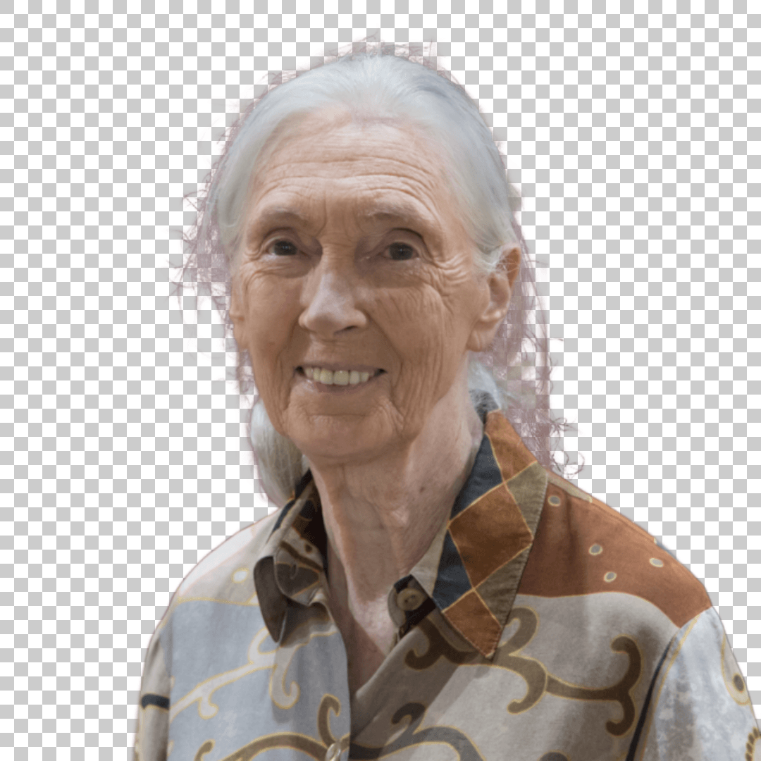 Jane Goodall - English primatologist