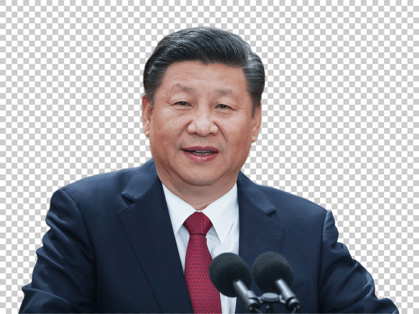 Xi Jinping President of the People's Republic of China